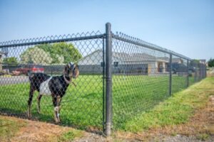 Hot Dipped Galvanized Fence