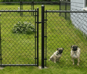 Hot Dipped Galvanized Fences